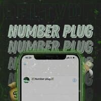 Number Plug