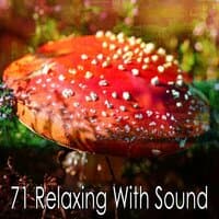 71 Relaxing with Sound