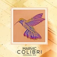 Colibri