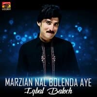 Marzian Nal Bolenda Aye - Single