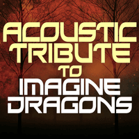 Acoustic Tribute to Imagine Dragons