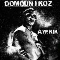 Domoun i koz