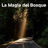 La Magia del Bosque