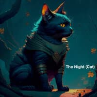 The Night (Cat) Part 2