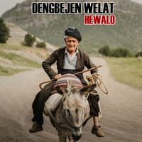 Hewalo