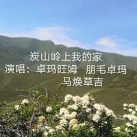 炭山岭上是我家