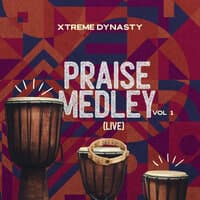 Praise Medley, Vol.1