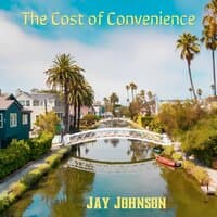 The Cost of Convenience