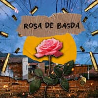 Rosa de Bagdá