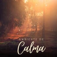 Ambiente de Calma