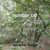 number cat