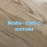 Суп с котом