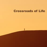 Crossroads of Life