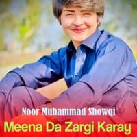 Meena Da Zargi Karay