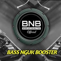 Bass Nguk Booster