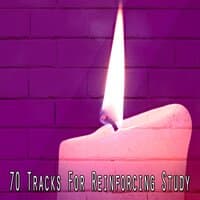 70 Tracks for Reinforcing Study