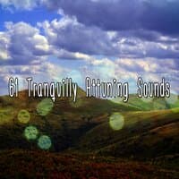 61 Tranquilly Attuning Sounds