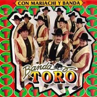 Con Mariachi y Banda