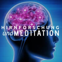 Hirnforschung und Meditation - Entdecke die Kraft der Meditation