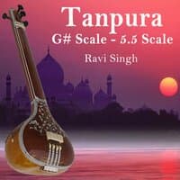 Tanpura - G# Scale - 5.5 Scale