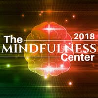 The Mindfulness Center 2018 - Ease Stress and Anxiety