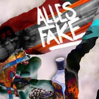 Alles Fake