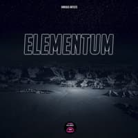 Elementum