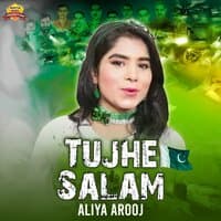 Tujhe Salam - Single