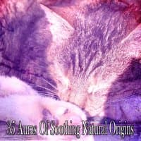 35 Auras Of Soothing Natural Origins