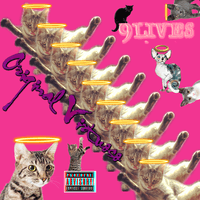 9lives