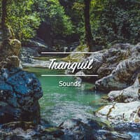 #10 Tranquil Sounds to Promote Wellness & Heal Chakras