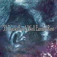 35 Tracks For A Well Earned Rest