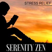 Serenity Zen: Chakra Balancing, Mindfulness Meditation, Stress Relief, Music for Yoga & Meditation, Peaceful Asian Songs