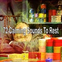 72 Calming Sounds to Rest