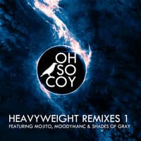 Heavyweight Remixes 1