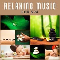 Relaxing Music for Spa – Deep Sounds of Nature for Massage Background, Spa Therapy, Placid New Age