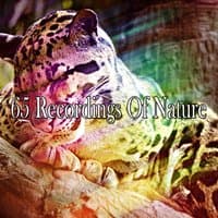 65 Recordings Of Nature