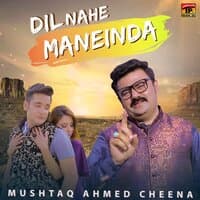 Dil Nahe Maneinda - Single