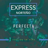 Perfecta (En Vivo)