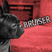 Bruiser