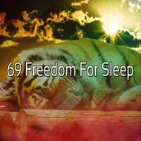 69 Freedom for Sleep