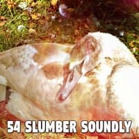 54 Slumber Soundly