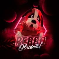 Olvidate! - Perro