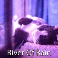 River Of Rain