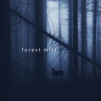 Forest Mist