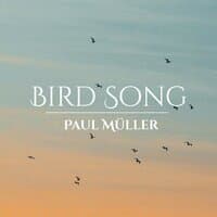 Bird Song