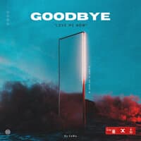 Goodbye "Love Me Now"