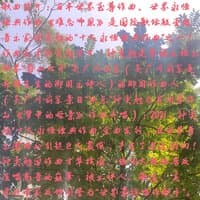 难忘师恩