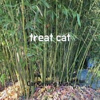 treat cat