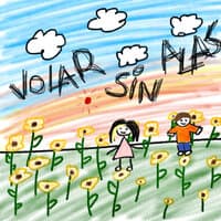 Volar Sin Alas